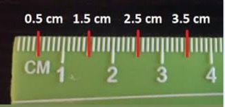 picture of another ruler